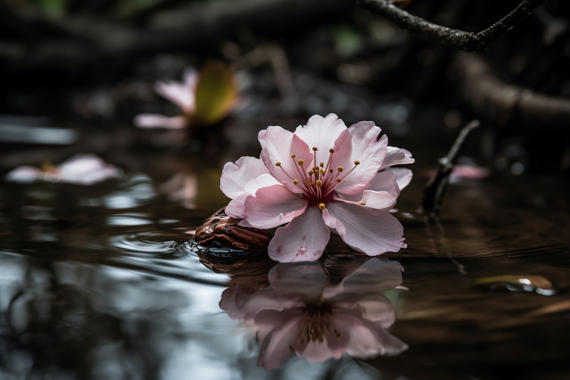 Our Secret Garden